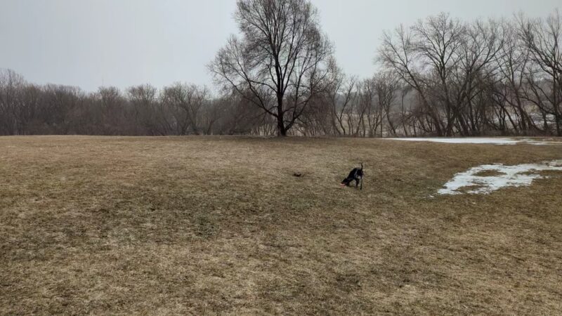 Sun Prairie Pet Exercise Area - Sun Prairie, WI