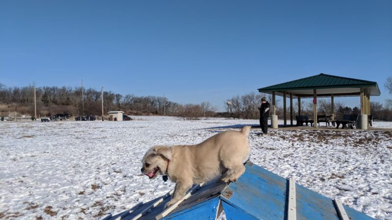 Sun Prairie Pet Exercise Area - Sun Prairie, WI