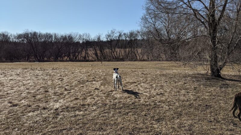 Sun Prairie Pet Exercise Area - Sun Prairie, WI