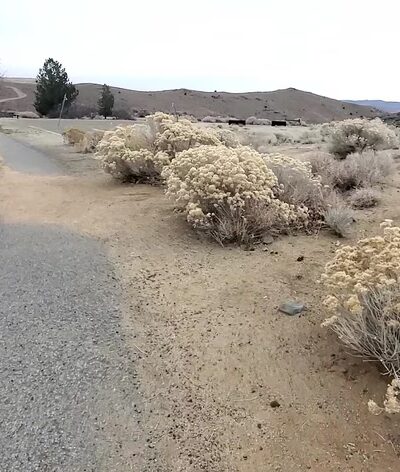 Highland Ranch Park - Sun Valley, NV