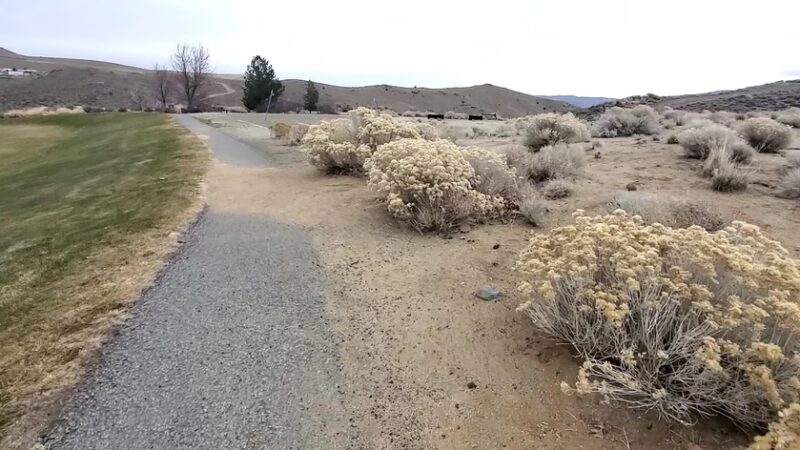 Highland Ranch Park - Sun Valley, NV