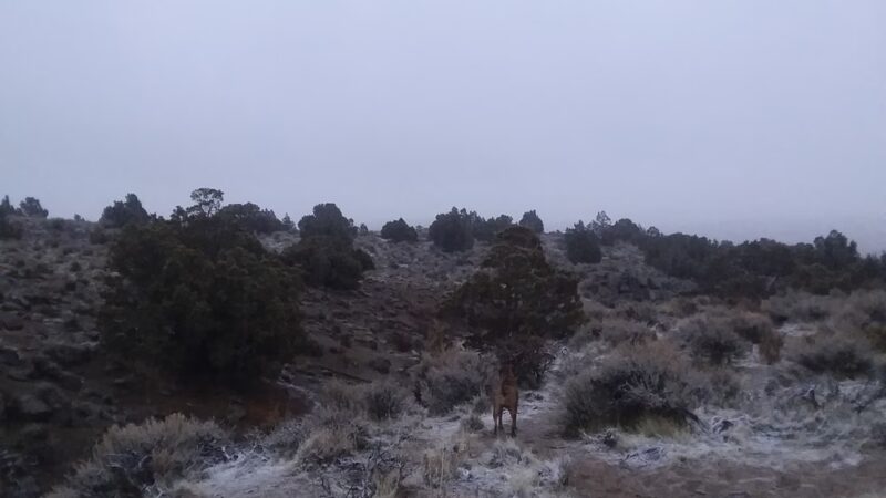 Highland Ranch Park - Sun Valley, NV