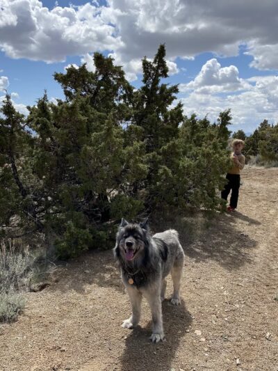 Highland Ranch Park - Sun Valley, NV