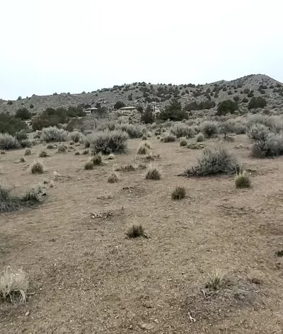Sun Valley Regional Park - Sun Valley, NV