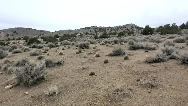 Sun Valley Regional Park - Sun Valley, NV