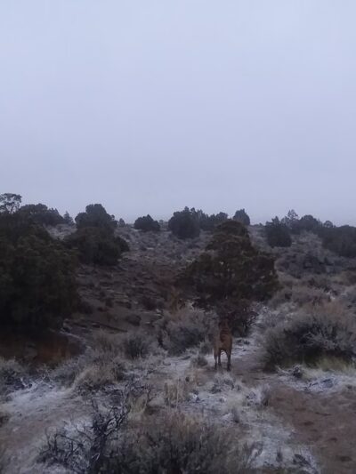 Sun Valley Regional Park - Sun Valley, NV