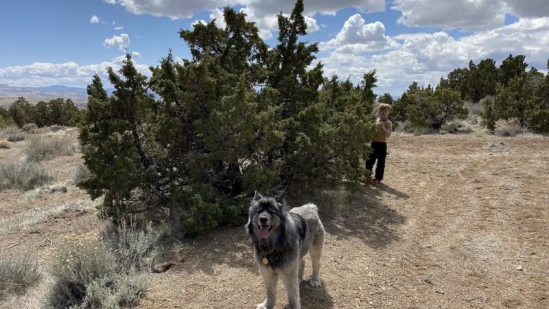 Sun Valley Regional Park - Sun Valley, NV