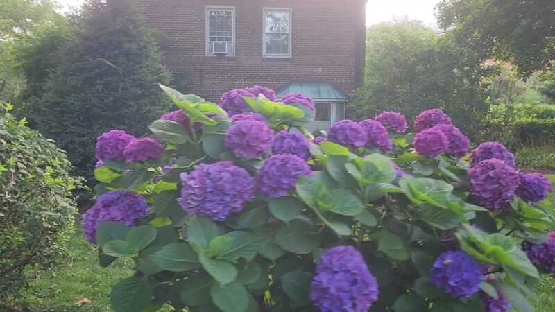 Sunnyside Gardens Park - Sunnyside, NY