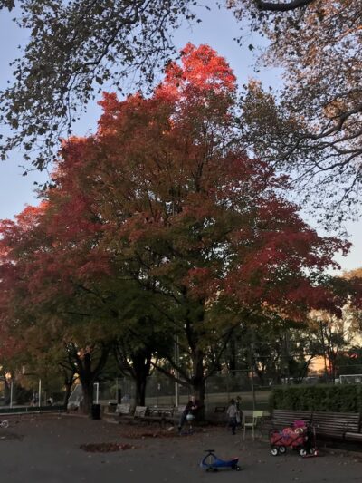 Sunnyside Gardens Park - Sunnyside, NY