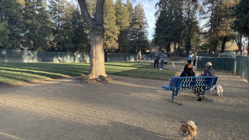 Dog Park | Las Palmas - Sunnyvale, CA