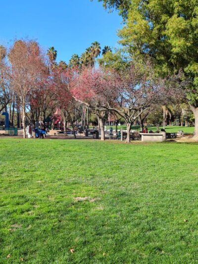 Dog Park | Las Palmas - Sunnyvale, CA
