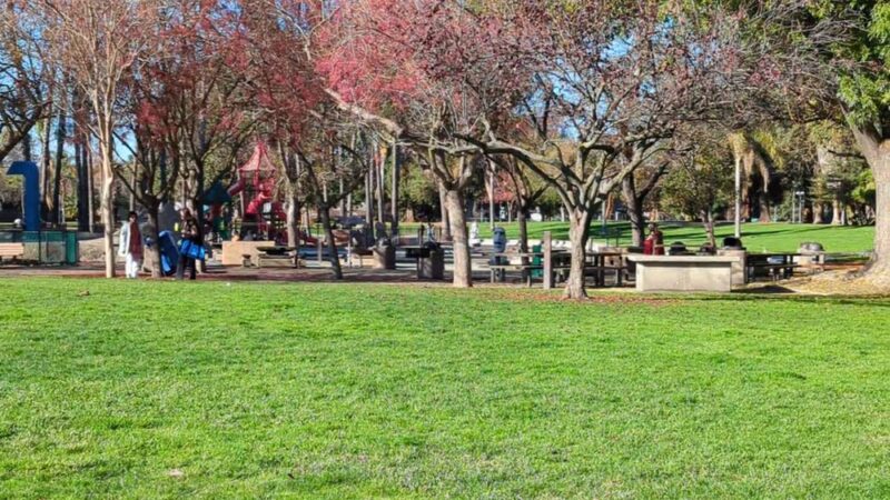 Dog Park | Las Palmas - Sunnyvale, CA
