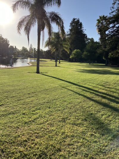 Dog Park | Las Palmas - Sunnyvale, CA