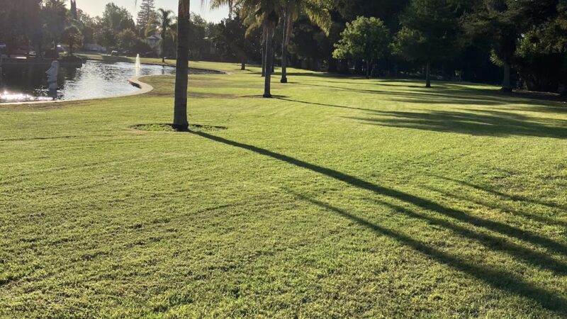 Dog Park | Las Palmas - Sunnyvale, CA