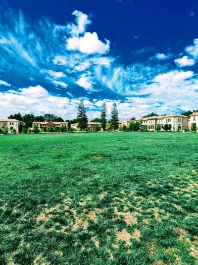 Muwékma Park - Sunnyvale, CA