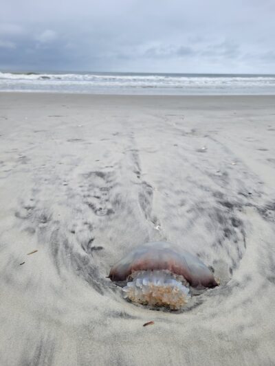 SUNSET BEACH, NC - Sunset Beach, NC