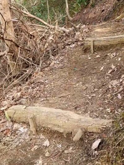 Beech Bottom Falls Trail - Sunset, SC