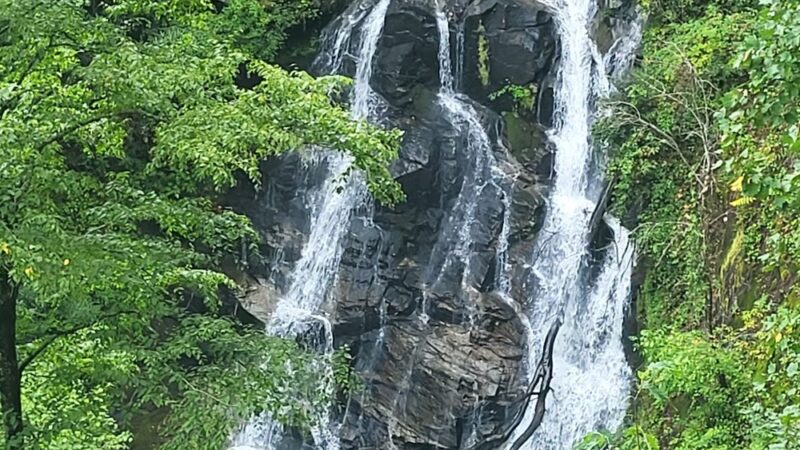 Beech Bottom Falls Trail - Sunset, SC