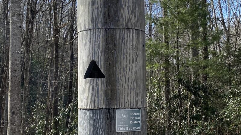 Beech Bottom Falls Trail - Sunset, SC