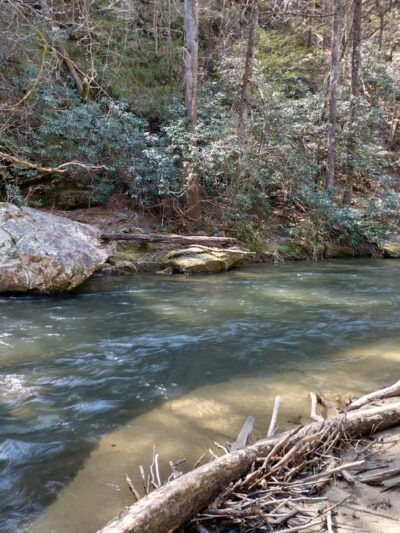 Eastatoe Passage of the Palmetto Trail - Sunset, SC
