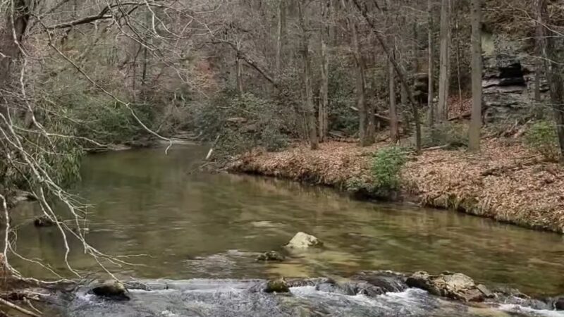Eastatoe Passage of the Palmetto Trail - Sunset, SC