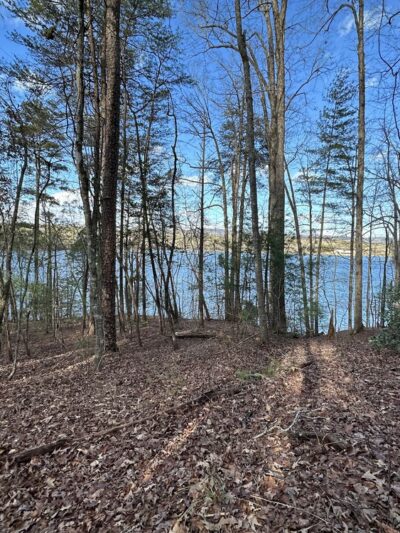 Eastatoe Passage of the Palmetto Trail - Sunset, SC