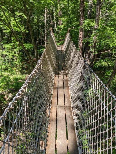 Eastatoe Passage of the Palmetto Trail - Sunset, SC