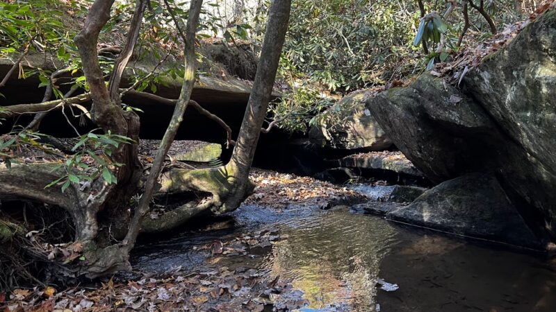 Natural Bridge/Raven Rock Trailhead - Sunset, SC