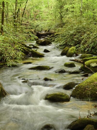 Twin Falls Trail - Sunset, SC