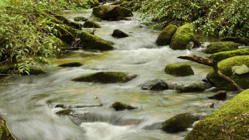 Twin Falls Trail - Sunset, SC