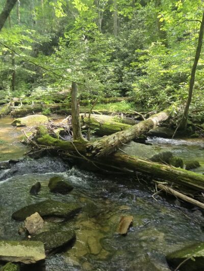 Upper Twin Falls Trail Trailhead - Sunset, SC