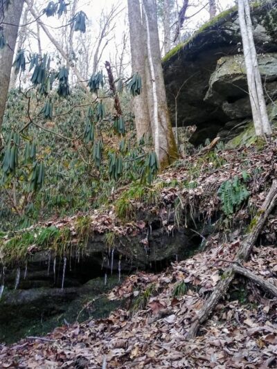 Upper Twin Falls Trail Trailhead - Sunset, SC