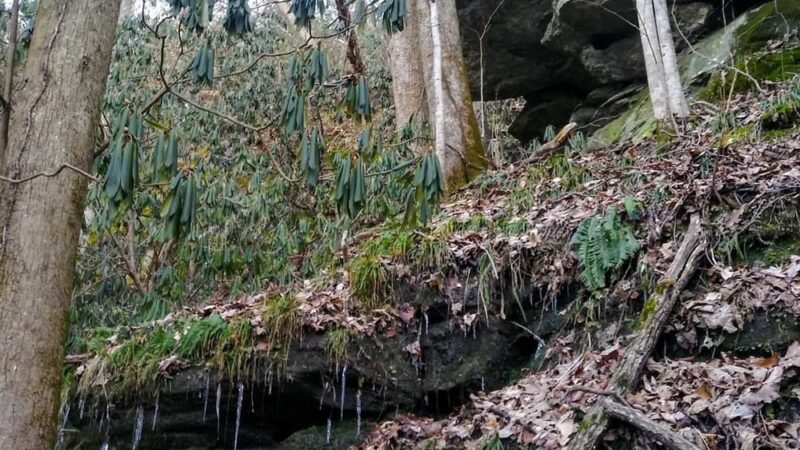 Upper Twin Falls Trail Trailhead - Sunset, SC