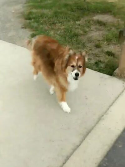 Autrey Park - Superior, CO