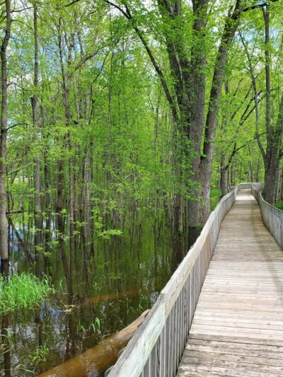 Riverside Park - Suring, WI