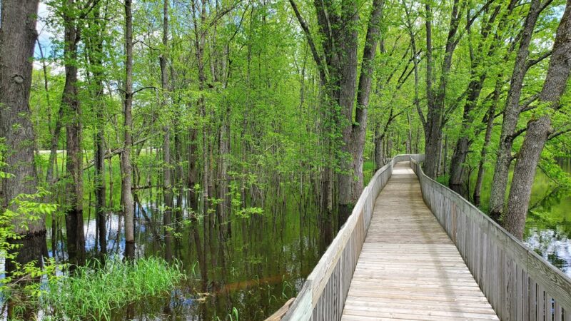 Riverside Park - Suring, WI