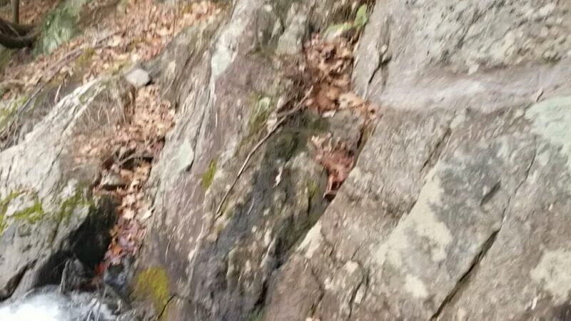 Surry Dam Trail - Surry, NH