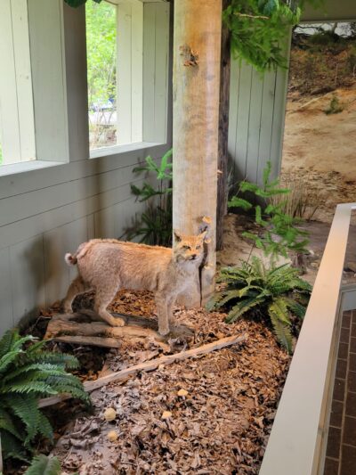 Chippokes State Park Visitor Center - Surry, VA