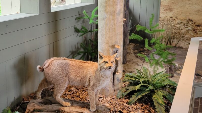 Chippokes State Park Visitor Center - Surry, VA