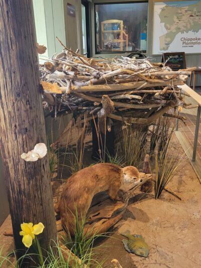 Chippokes State Park Visitor Center - Surry, VA