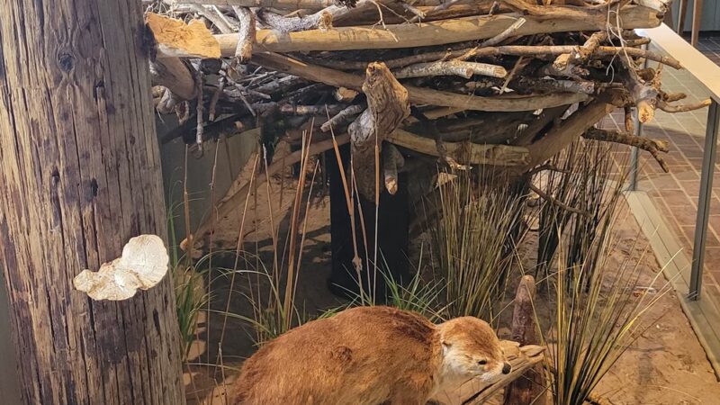 Chippokes State Park Visitor Center - Surry, VA