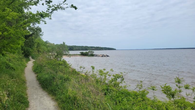 Parking for the beach - Surry, VA
