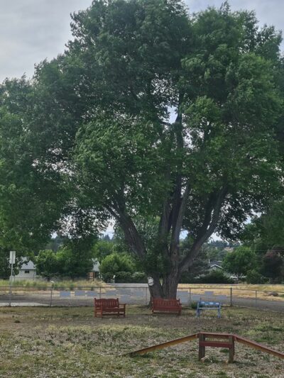 Susanville Bark Park - Susanville, CA