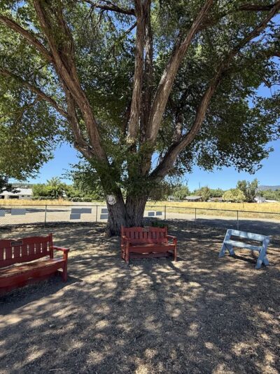 Susanville Bark Park - Susanville, CA