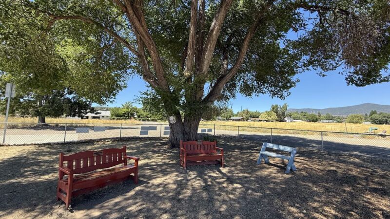 Susanville Bark Park - Susanville, CA