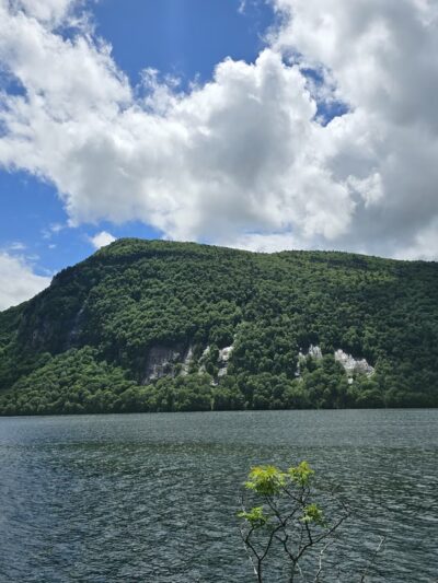Willoughby State Forest - Sutton, VT
