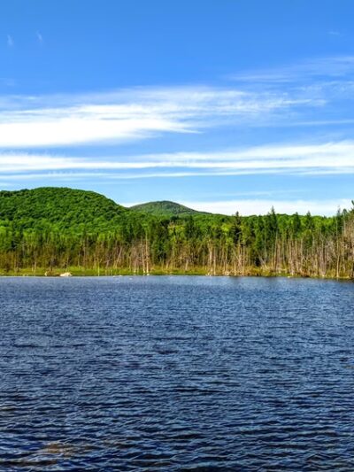 Willoughby State Forest - Sutton, VT