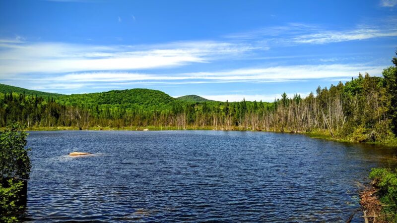 Willoughby State Forest - Sutton, VT
