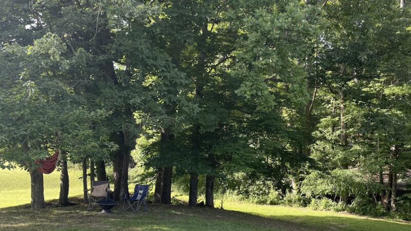 Breezy Run Campground - Sutton, WV