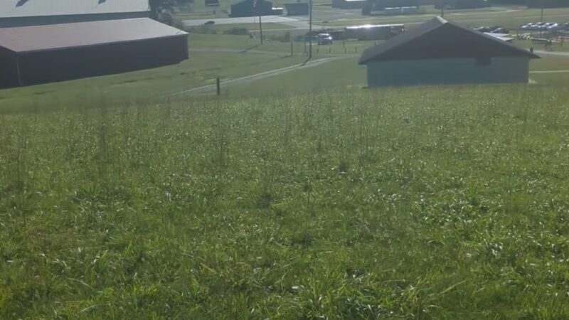 Holly-Gray Park - Sutton, WV